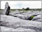 foto Parco nazionale del Burren